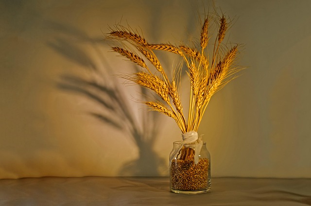 flarebrookの穀物（小麦など）、黄金色の穂と粒の静物