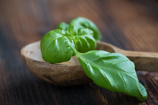 flarebrookのフレッシュハーブ（バジルなど）、葉の質感が分かる静物